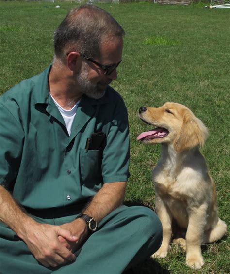 Puppies Behind Bars – Charities for Veterans.